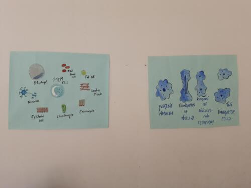 Science-Expo-066
